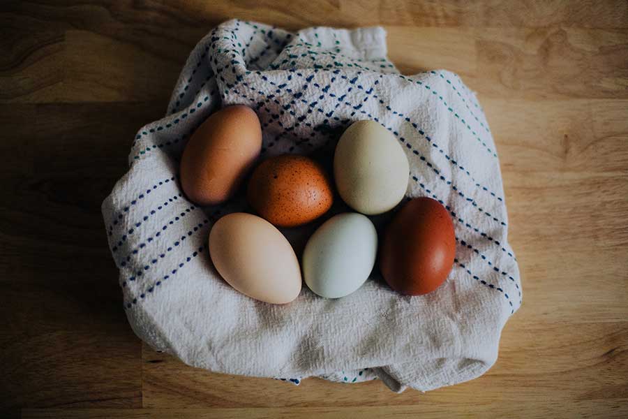 Egg Recipes from Spice of Life Farm