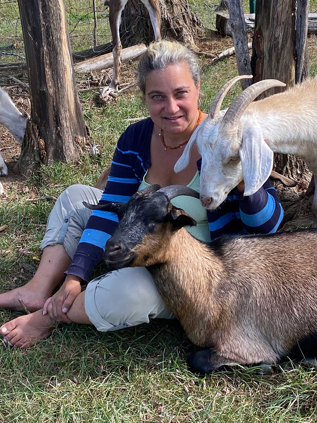 spice of life farm nubian goats