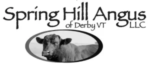 Spring Hill Angus
